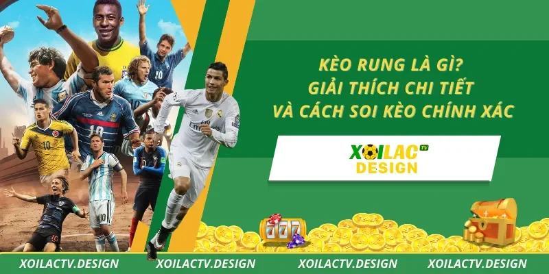 Kèo Rung Là Gì? Giải Thích Chi Tiết Và Cách Soi Kèo Chính Xác